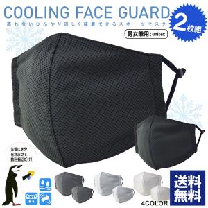 冷感 メッシュマスク 2枚組 ユニセックス男女兼用 フェイスガード 夏用 クーリングマスク 洗える サイズ調節可 Z6A セール【パケ3】 ポイント利用 爆買
