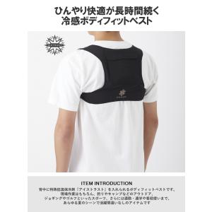ベスト 保冷ベスト メンズ レディース 保冷 ...の詳細画像1