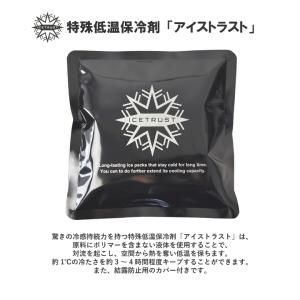 ベスト 保冷ベスト メンズ レディース 保冷 ...の詳細画像2