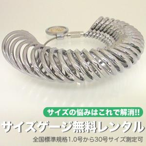 フラッグス flags リングサイズの悩み解消 ...の商品画像