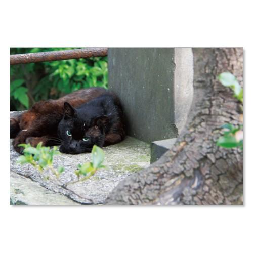 のら猫ポストカードシリーズ （a stray cat） No.021 〈谷中〉 ムーングラフィックス...