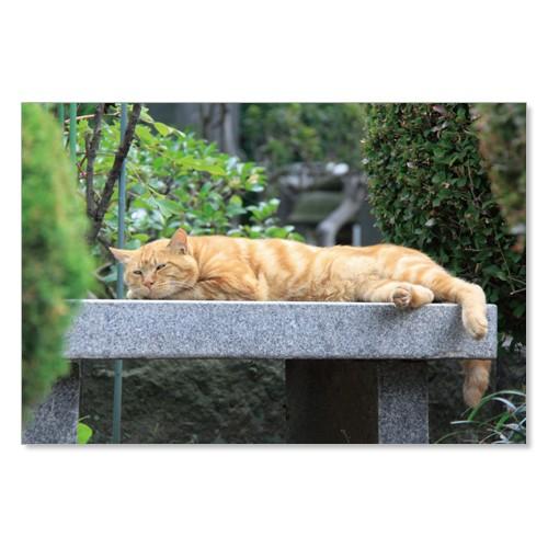 のら猫ポストカードシリーズ （a stray cat） No.022 〈谷中〉 ムーングラフィックス...