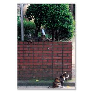 のら猫ポストカードシリーズ  No.032  ムーングラフィックス FLAGS