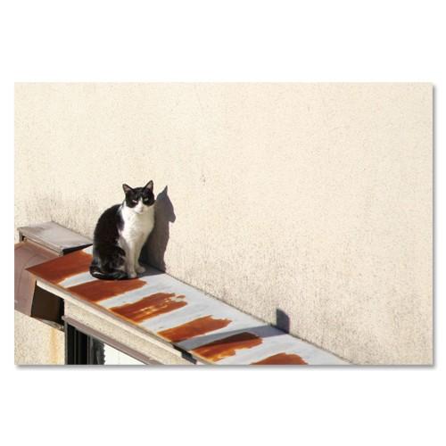 東京の猫ポストカードシリーズ Cat in Tokyo 022〈千駄ヶ谷〉 ムーングラフィックス F...