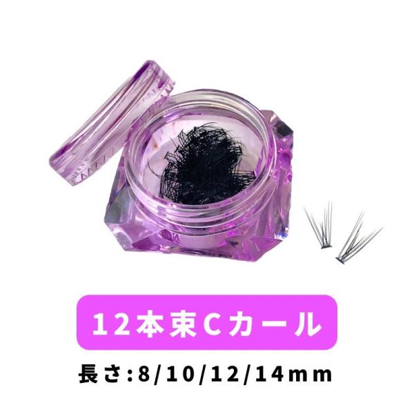 在庫限り　つけまつげ　セルフマツエク　部分用つけまつげ　マツエク　新vラッシュ　リニューアル　まつげ...