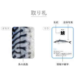 さかなかるた かるた カード カードゲーム お...の詳細画像5