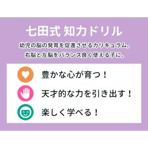 10冊セット 七田式 知力ドリル 2歳 3歳 ...の詳細画像2