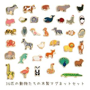 DJECO ジェコ マグニモ 36ピース 2歳...の詳細画像2