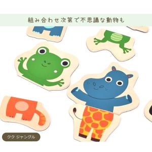 3点セット DJECO ジェコ 木製マグネット...の詳細画像5