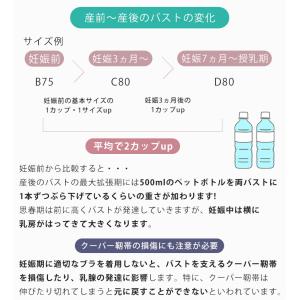 犬印本舗 フロントオープンレース授乳ブラ LL...の詳細画像5