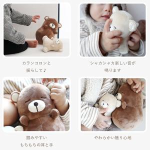 ギフトラッピング付 amanoppo 布おもち...の詳細画像5