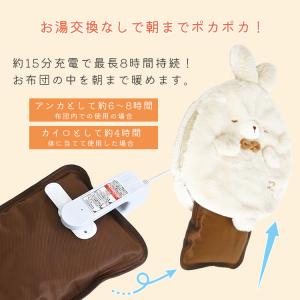 メーカー保証付 手が入るコロまる湯たんぽ (シ...の詳細画像5