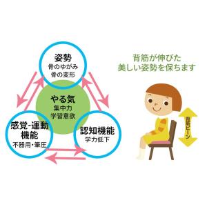 選べるシール付/CAGAC カガック 学習クッ...の詳細画像2