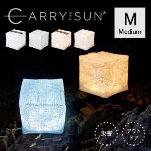 Landport ソーラー充電式 コンパクトLEDランタン CARRY THE SUN