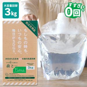 海へ…Fukii 詰替えパック 3kg 衣類用洗濯洗剤 がんこ本舗 がんこ本舗 海へ Fukii・・・詰替え3kg BOX 液体洗剤 洗浄剤 環境洗剤