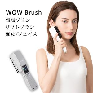 WOW Brush 電気ブラシ 低周波ブラシ EMS 美顔器 マイナスイオン 頭皮 フェイス 頭筋 リフトブラシ ホームケア ワオブラシ／海外×