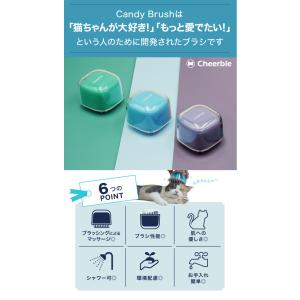 正規販売店 Candy Brush キャンディ...の詳細画像2