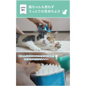 正規販売店 Candy Brush キャンディ...の詳細画像3