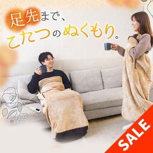 THANKO 腕だし電気毛布「だら活毛布」 サンコー パーソナル暖房