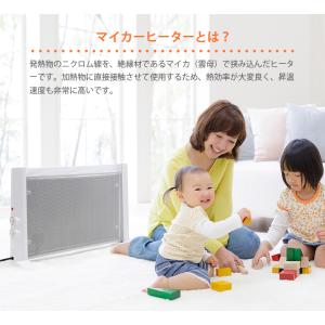 RELICIA 両面マイカヒーター RLC-N...の詳細画像5