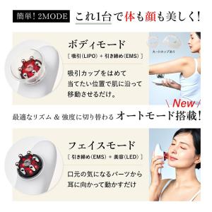 WAVEWAVE EMS Slim Esthe...の詳細画像3
