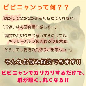 選べる特典付/bibi Nyan ビビニャン ...の詳細画像2