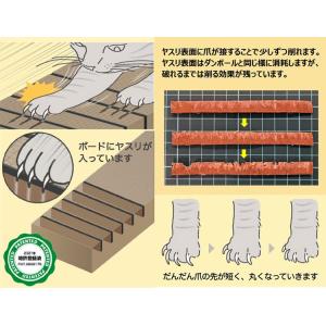 選べる特典付/bibi Nyan ビビニャン ...の詳細画像3