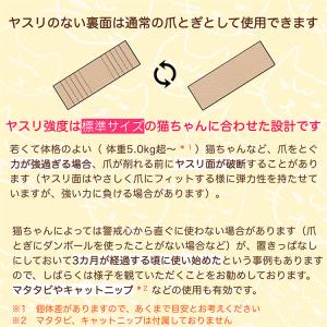 選べる特典付/bibi Nyan ビビニャン ...の詳細画像4