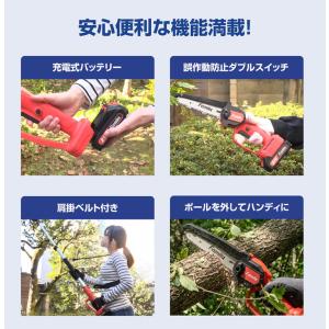 予備バッテリー付き NEW ファミラ 充電式コ...の詳細画像3