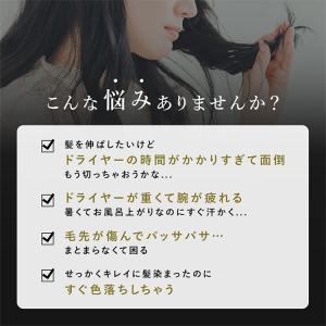 Noend エアーブロースティック NB-HD...の詳細画像4