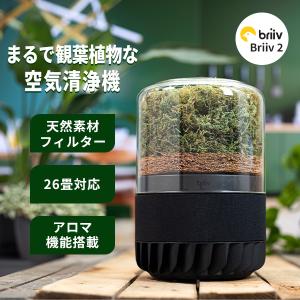 Briiv 2 空気清浄機｜卓上 コンパクトの買取情報
