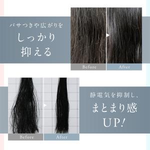 選べる夏おまけ付/NIPLUX ヘアドライヤー...の詳細画像3