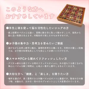 予約/選べる特典付/ナンプレボードDX|ナンプ...の詳細画像2