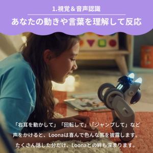 AIペットロボット Loona|ペットロボット...の詳細画像4