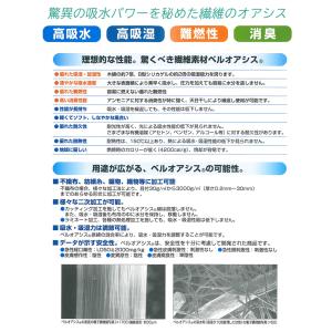 週末限定CP★テイジン 乾っとデオケースLig...の詳細画像5