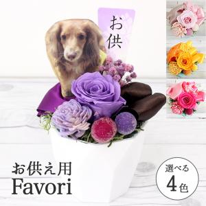 プリザーブドフラワー 仏花 仏壇用 お供え 造花 あすつく 22 ファボリ お悔み 命日 花 一周忌 クリアケース 写真立て 贈り物 Osonae Favori Line 写真と花の専門店 フランネリカ 通販 Yahoo ショッピング