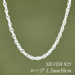 シルバーチェーン50cmに変更 imgrc0080340502.jpg
