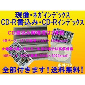 ネガフィルム現像 +データ書込CDまたはDVD...の詳細画像2