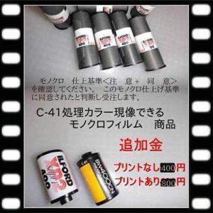 ネガフィルム現像 +データ書込CDまたはDVD...の詳細画像5