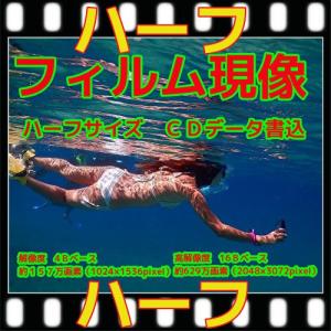 カラーハーフフィルム現像+ＣＤ書込（画像が荒い４Ｂ）　＋　ネガインデックス　+　ＣＤインデックス