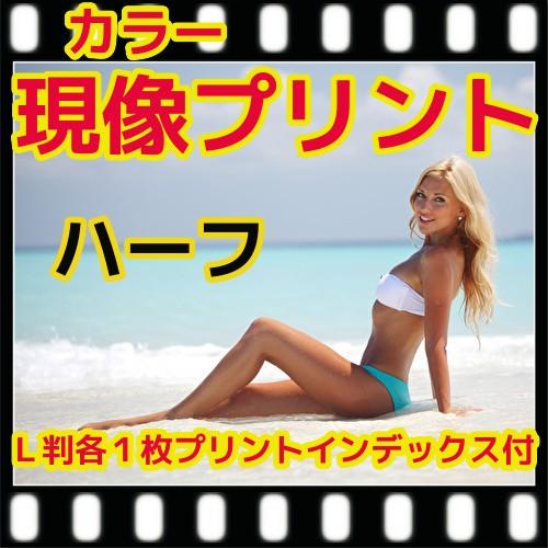 ハーフ　カラーフィルム現像＋プリント+インデックス　フジカラー薬品　（現像済みからでも可能）