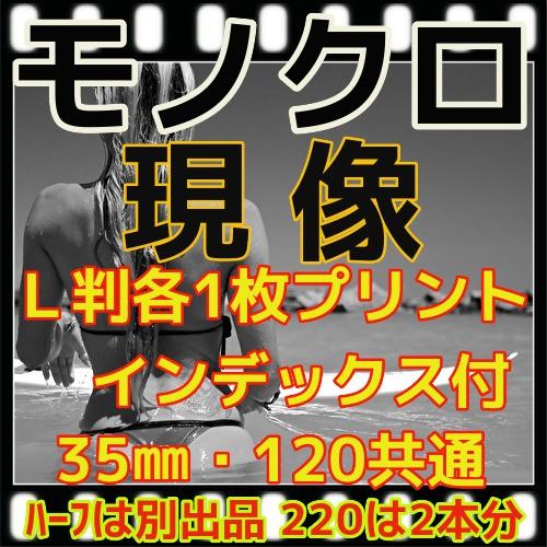 モノクロフィルム現像＋プリントＬ版各１枚+インデックス　ＦＵＪＩ　フジ　マリックス Marix　Lo...