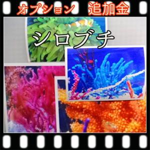 シロブチプリントにされる場合のオプション