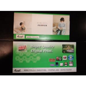 プリント袋２Ｌ判用　  100枚　  ＢＩＣサイズ　　メール便不可