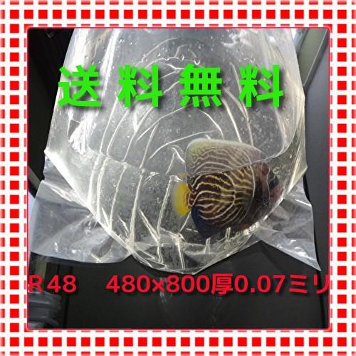 R48-　50枚　丸底ビニール袋 　パッキング袋　観賞魚ビニール袋