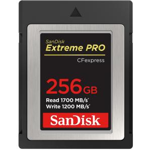 256GB CFexpress Type B カード Extreme PRO SanDisk サンディスク RAW 4K対応 R:1700MB/s W:1200MB/s 海外リテール SDCFE-256G-GN4NN◆宅の商品画像