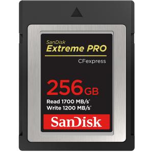 256GB CFexpress Type B カード Extreme PRO SanDisk サンディスク RAW 4K対応 R:1700MB/s W:1200MB/s 海外リテール SDCFE-256G-GN4NN ◆宅