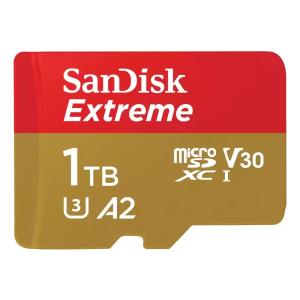 1TB microSDXCカード マイクロSD SanDisk サンディスク Extreme UHS-I U3 V30 A2 R:190MB/s W:130MB/s 1000GB 海外リテール SDSQXAV-1T00-GN6MN ◆メ｜風見鶏