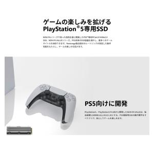 M.2 NVMe SSD 1TB M.2-22...の詳細画像1