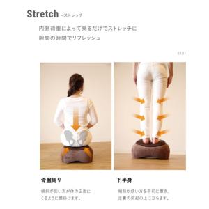 スリムルームステッパー ストレッチャー お部屋...の詳細画像2
